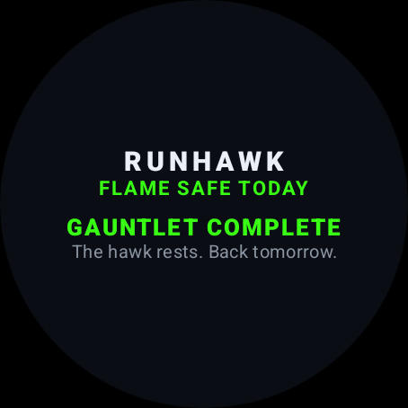 Wear OS gauntlet complete